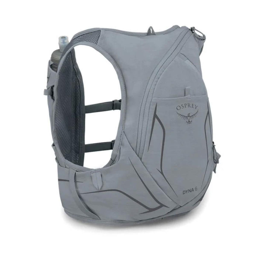 DYNA 6 W/FLASKS SLATE GREY WM