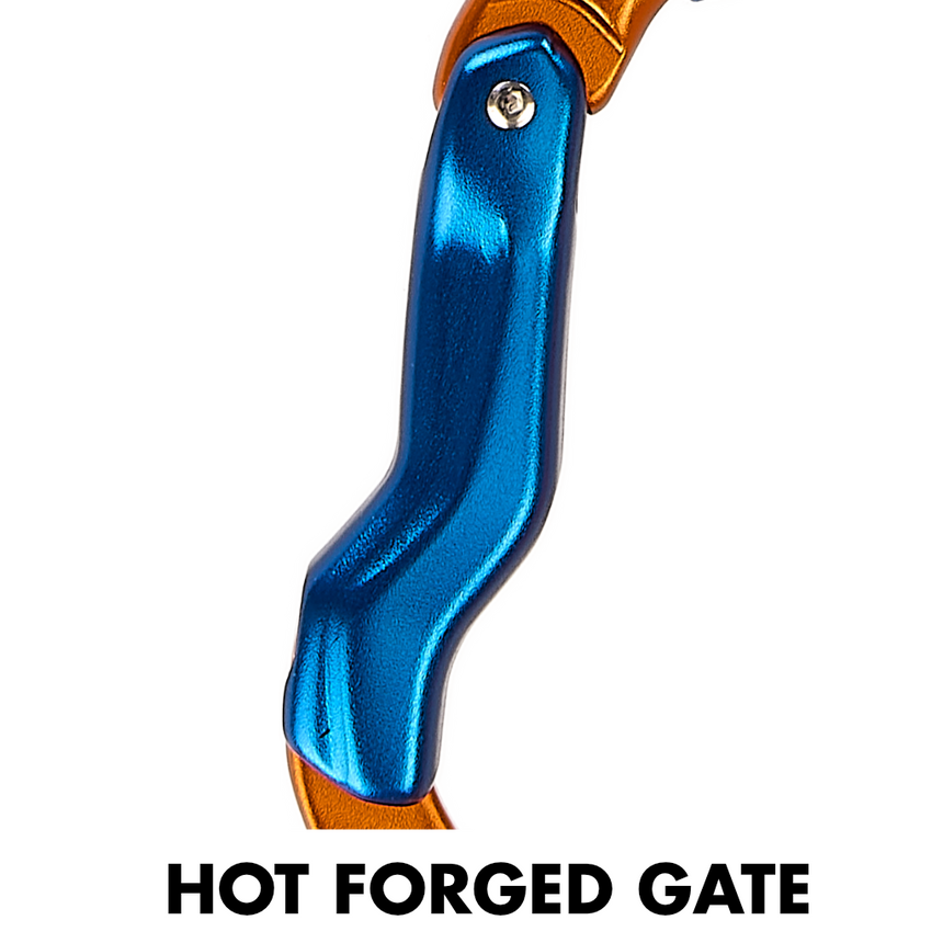 MORFO B- Orange/ Blue CT2C28500WBU