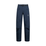 Alpine Guide GTX Pants M ZAMP067