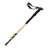 Boxwood canes