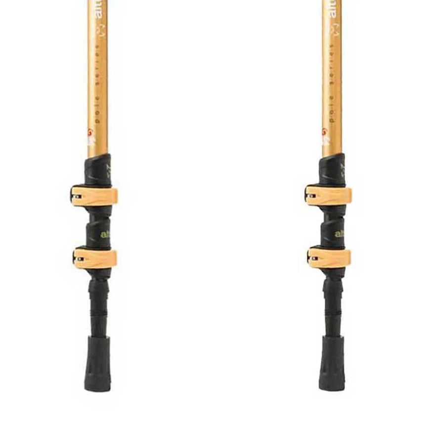 Boxwood canes