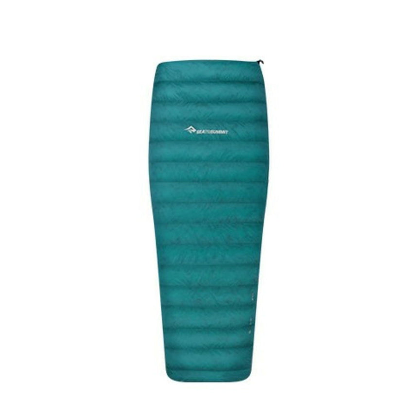 SAC DE PLOMES TRAVELLER TR II L